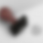 Seal-Logo-Mockup